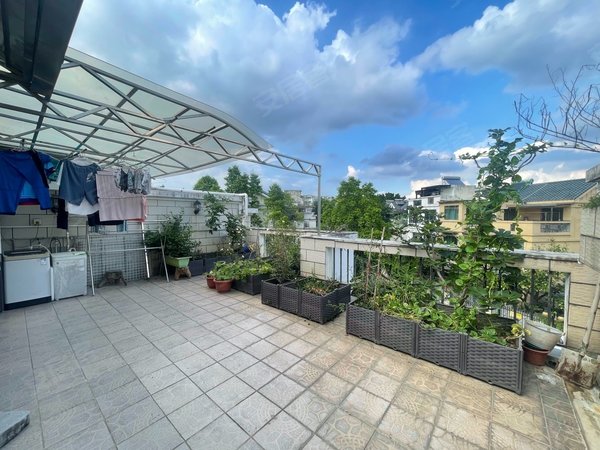 广州番禺南浦南浦海滨花园(别墅)近地铁 海滨花园(别墅) 前后大花园