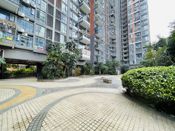 【多图】嘉葆润金座,新洲租房,新洲片区一房一厅 南北通透 采光好