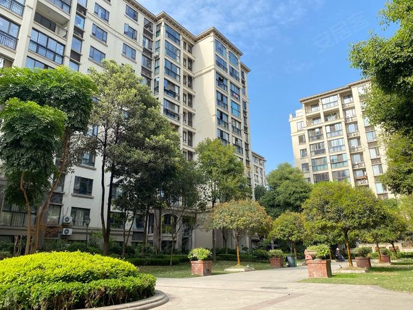 成都双流东升镇九龙仓时代小镇等一个有缘人!