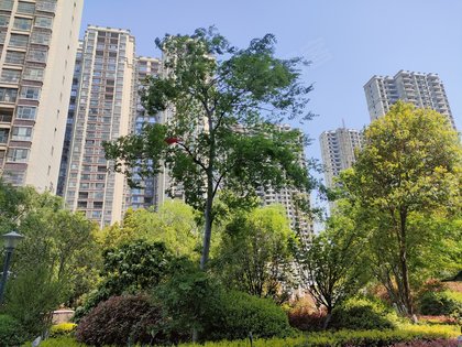 凤凰小区,亚兴路 - 平顶山凤凰小区二手房,租房,房价-平顶山安居客