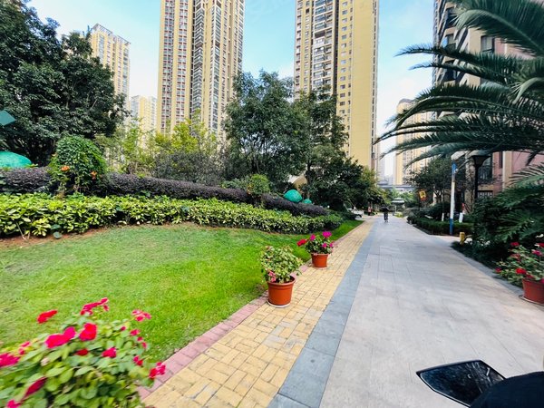 【多图】金坤尚城长乐里,滇池路片区租房,万达旁 清爽两室带储物间