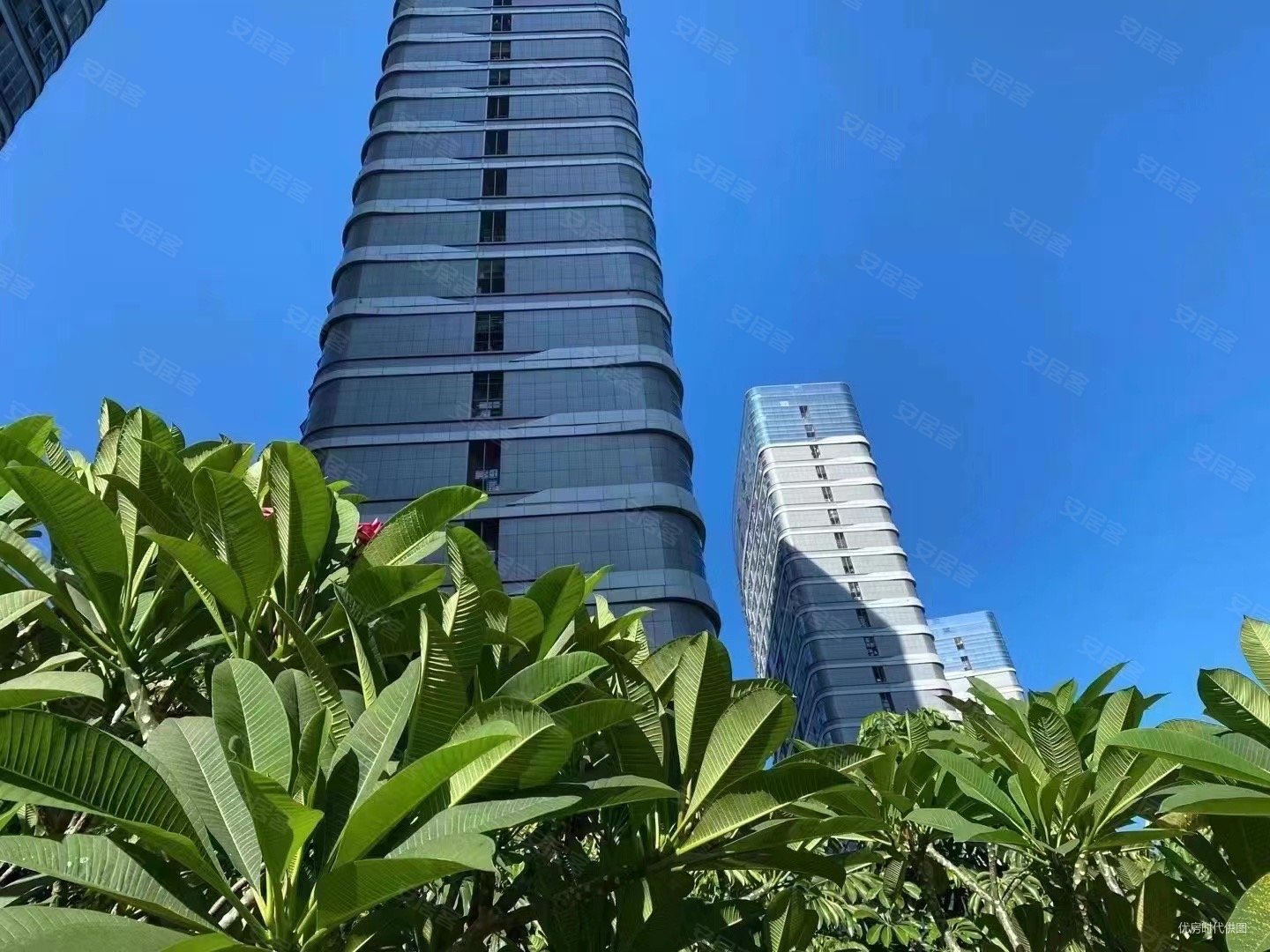 边套边套 海沧大桥首站 融信精装三房 看山看海 挑高5米