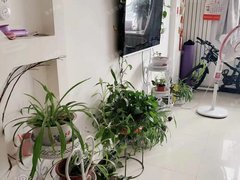 临沂费县费县城区东方嘉苑两室拎包入住年租15000随时看房小区配套齐全出租房源真实图片