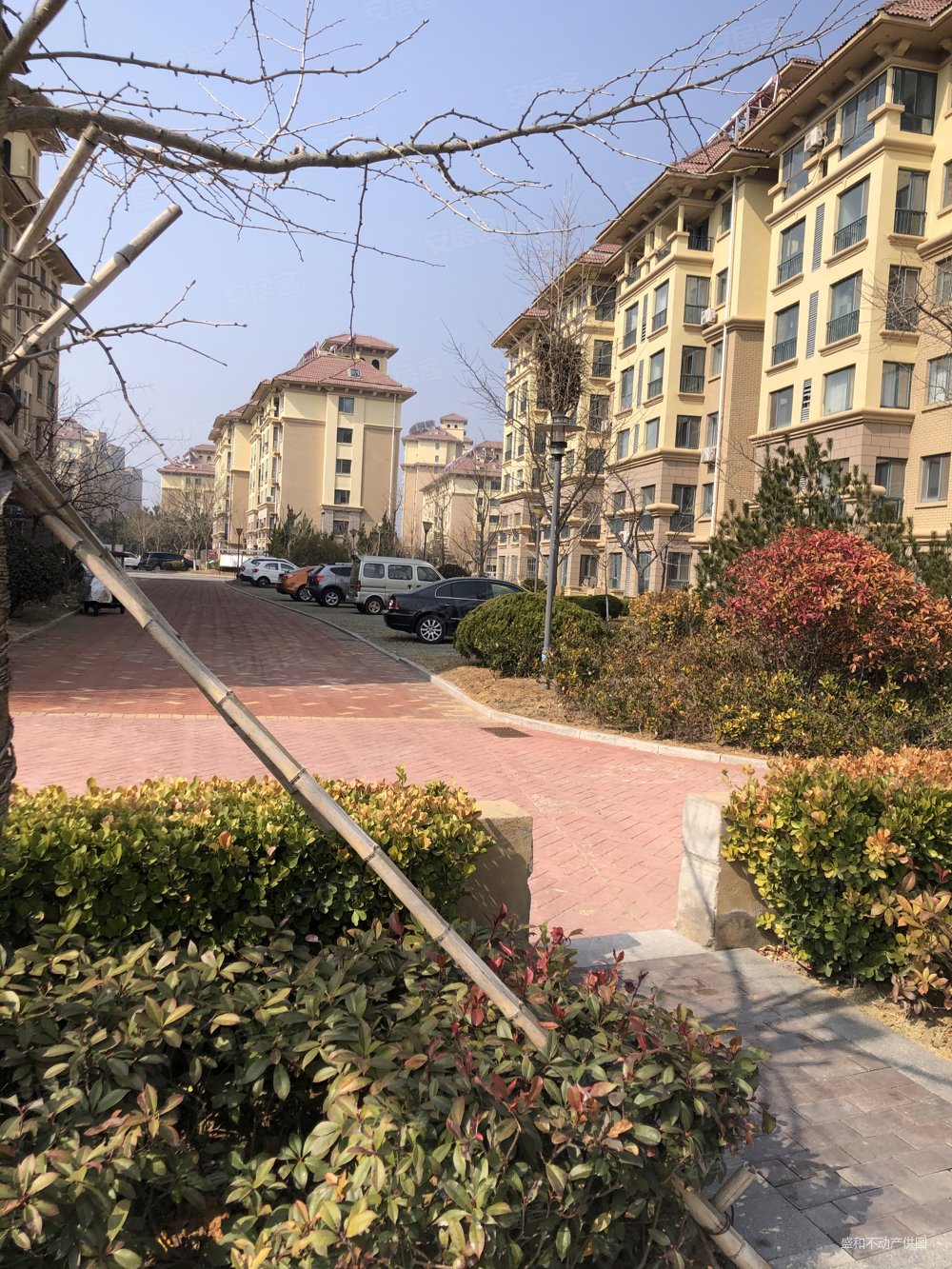 威海南海风情海岸一楼带院2居精装修出门是海万亩松林