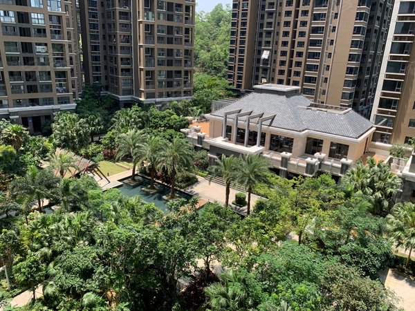 珠海香洲吉大锦园白莲洞公园 锦园精装电梯1房1厅1卫 南北通透 配套