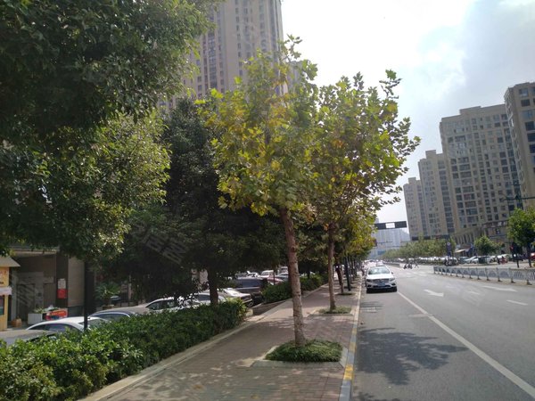 常州武进湖塘吾悦广场(南区)吾悦广场!押一付一!可短租!