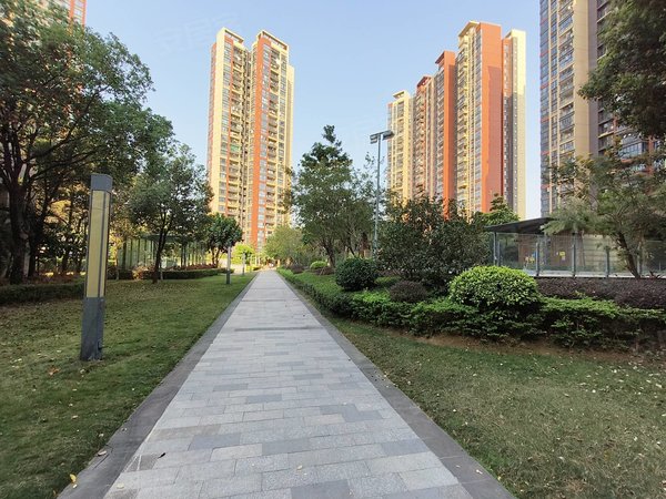 z实房源 可以看本房 听涛雅苑一期精装大一房一厅租出租房源真实图片