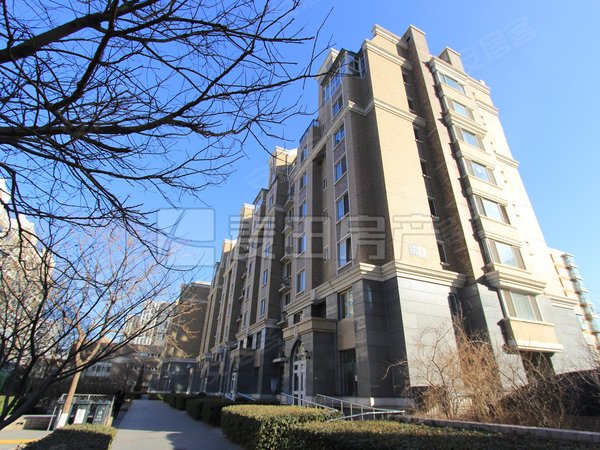 北京朝阳大望路金港国际3室2厅  金港国际出租房源真实图片