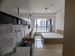 贵阳观山湖会展城金融城二期 精装独门独户公寓带空调 押一付一 无中介出租房源真实图片