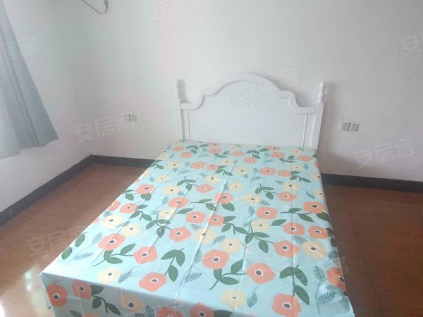 【多图】漾河公寓,东新租房,西文街地铁 城北体育公寓 西联广场 中西