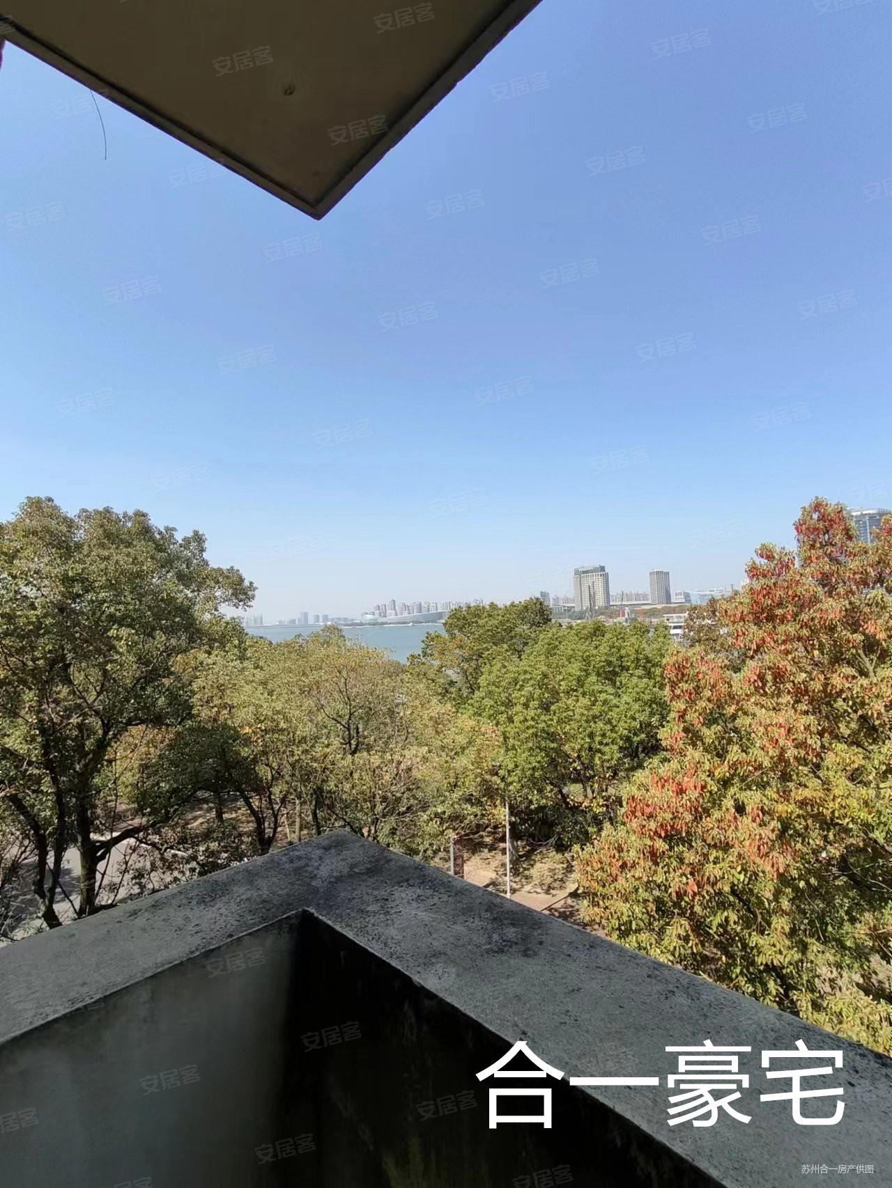 苏州房产网>苏州二手房>工业园二手房>双湖二手房>金鸡湖花园>1280