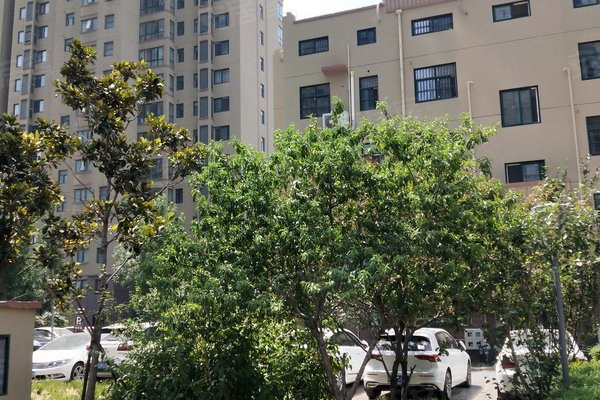 不足,馨华佳苑怎么样,馨华佳苑周边房产中介经纪人评价-新乡安居客