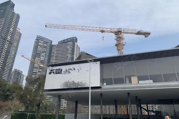 佛山小区 南海小区 平洲小区 保利天珺
