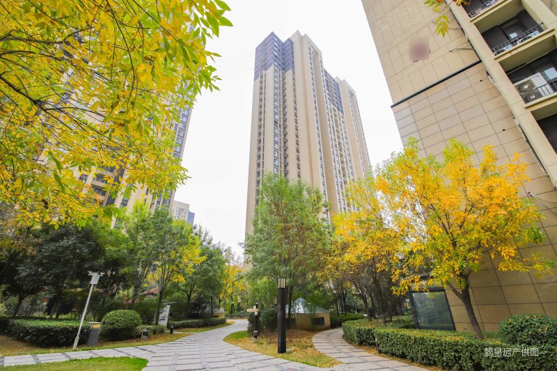 九洲城锦园 临地铁 商品房 双卫 南北通透 中间楼层 有电梯