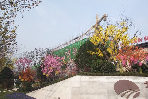 北京城房春华园,朝阳北路,近双墩路-蚌埠北京城房春华园二手房,租房