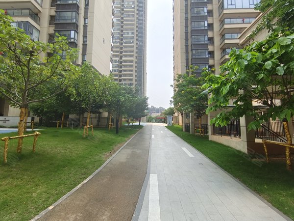 南宁良庆五象大道檀府印象檀玥檀府印象三房 特价急租2000 全新首租