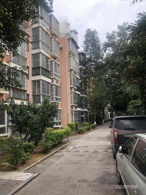 柳州房产网>柳州二手房>鱼峰二手房>荣军二手房>阳光花园>488_650竖版