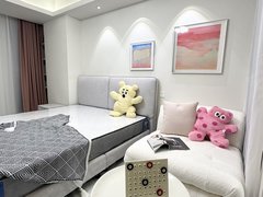 合肥瑶海胜利路金色地带(瑶海) 阳光充足 20平 电梯房出租房源真实图片