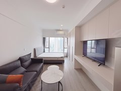 现代精美单身公寓 采光好 储物空间多 奥克斯万达广场 六沟垅