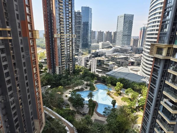 雅宝地铁口,星河银湖谷东南向四房两卫,豪华装修,看山景!