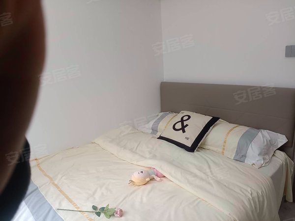 深圳福田上步南园新村(年底)南园新村品牌公寓 精装修 电梯房 首月免租出租房源真实图片