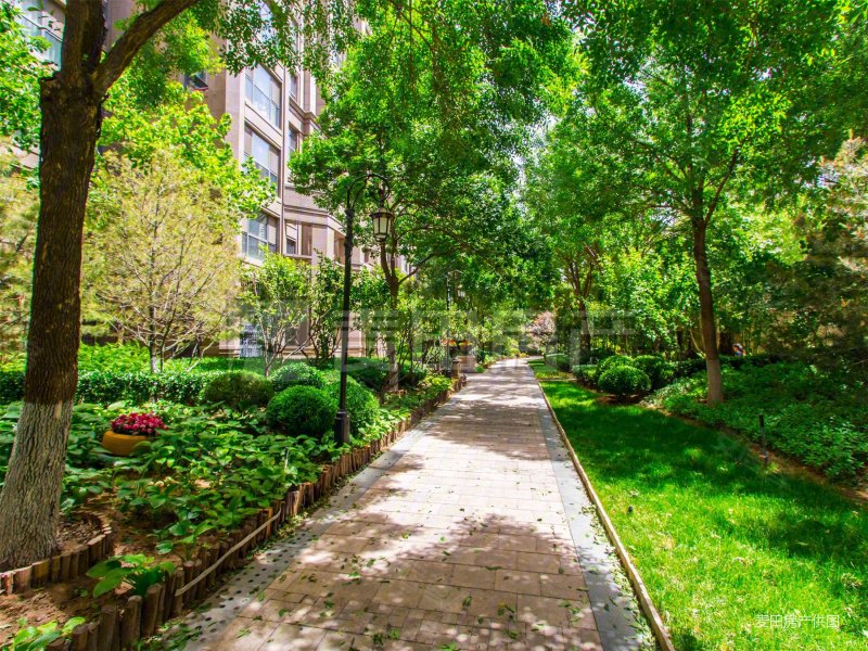 正对园区 基本没住 从未开过火 南向两居 明厨明卫,中海紫御公馆二手