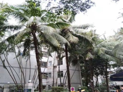 香荔花园(一期)优点,不足,香荔花园(一期)怎么样,香荔花园(一期)周边