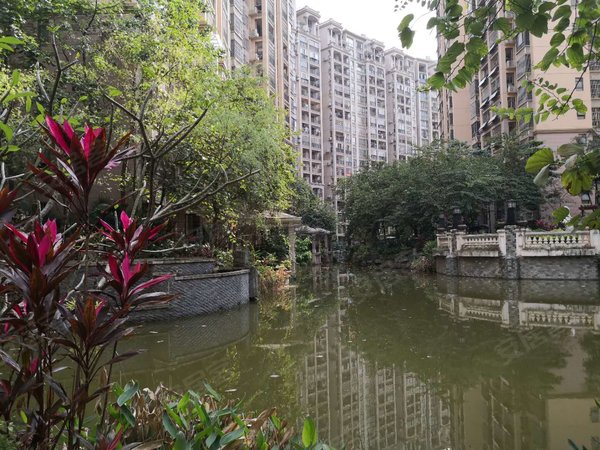 莱茵湖畔漂亮三房租2000实图朝南拎包入住,青秀租房-南宁58安居客