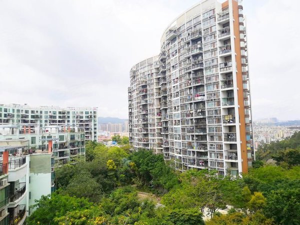 深圳布吉慢城景园(华浩源四期)慢城区华浩源电梯2房空房,整洁保养好