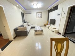 合肥新站火车站火车站 地铁口 宝文国际旁 临泉花苑精装两室两厅 随时看房出租房源真实图片