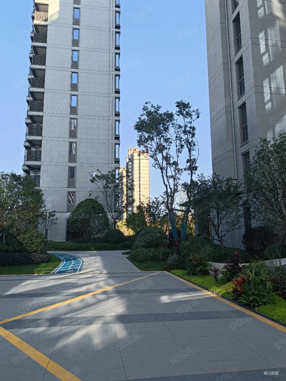 堂樾庄4室2厅3卫231㎡南北530万