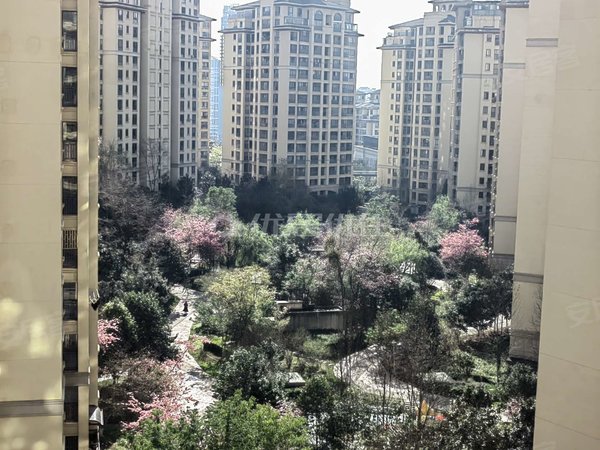 昆明呈贡市政府实力锦云府电梯房 半年付 实力锦云府 93平 3室 整租