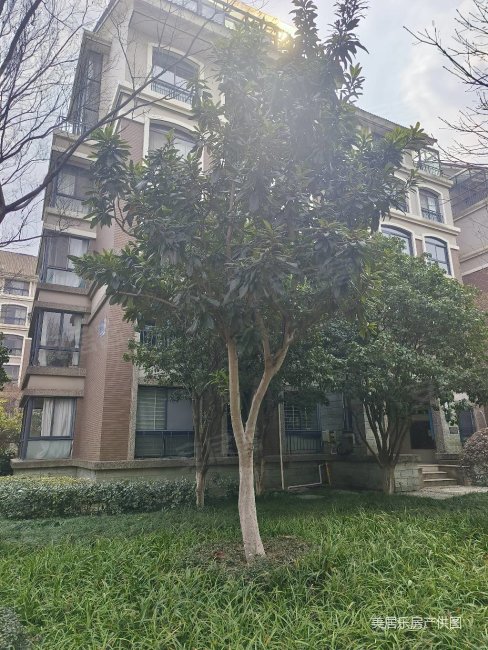 长江国际花园洋房2楼精装大三房采光非常好不靠马路安静