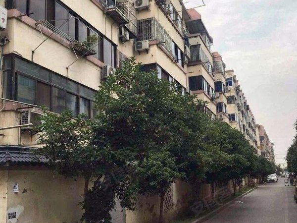 苏州姑苏姑苏城区苏苑新村(北区)实图实价苏苑新村带阳台三家合租团结