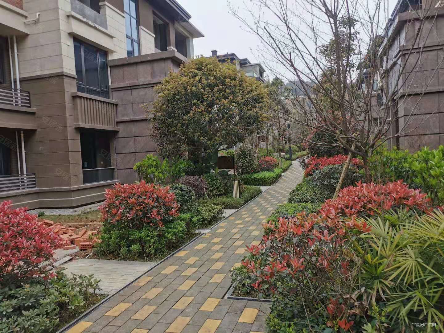 金隅大成南山郡观澜樾