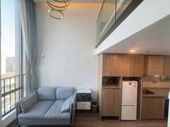 东莞莞城罗沙卓越中寰(商住楼) 1室1厅1卫  电梯房 精装修29平米出租房源真实图片