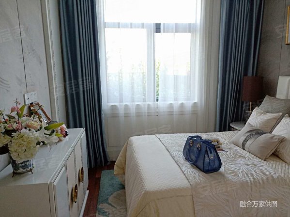 红莲湖新区 北大资源 高品质一线湖景别墅 大花