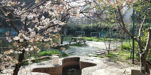 金凯花园独栋别墅 9室4厅3卫 290平 超大院子1300平