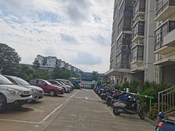 南宁兴宁东沟岭梧桐苑(兴宁)3号地铁口澳华花园旁梧桐苑小区电梯精美