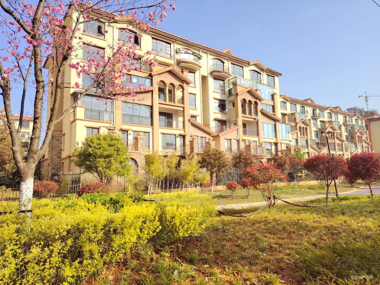 御景新城洋房三室两厅  满两年  证在手  43.5万!