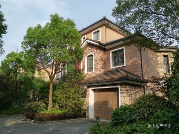 湖山在望 一手独栋无税费 临河大花园 接受置换 看房随时