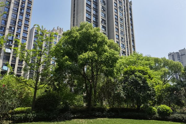 雍锦园优点,不足,雍锦园怎么样,雍锦园周边房产中介经纪人评价-温州