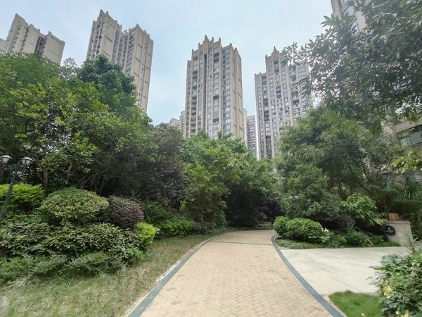 【多图】美泉1612,凤岭北租房,凤岭北,网红小区,精装大单间,可令包