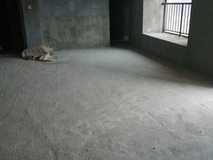 泉州鲤城浮桥建发珑璟湾 4室2厅2卫 电梯房 163平米出租房源真实图片