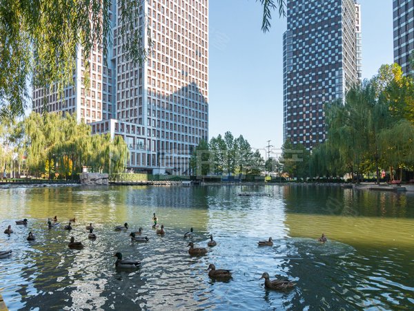 东直门租房,万国城moma 1室1厅1卫 110平 电梯房,东城租房-北京58安居