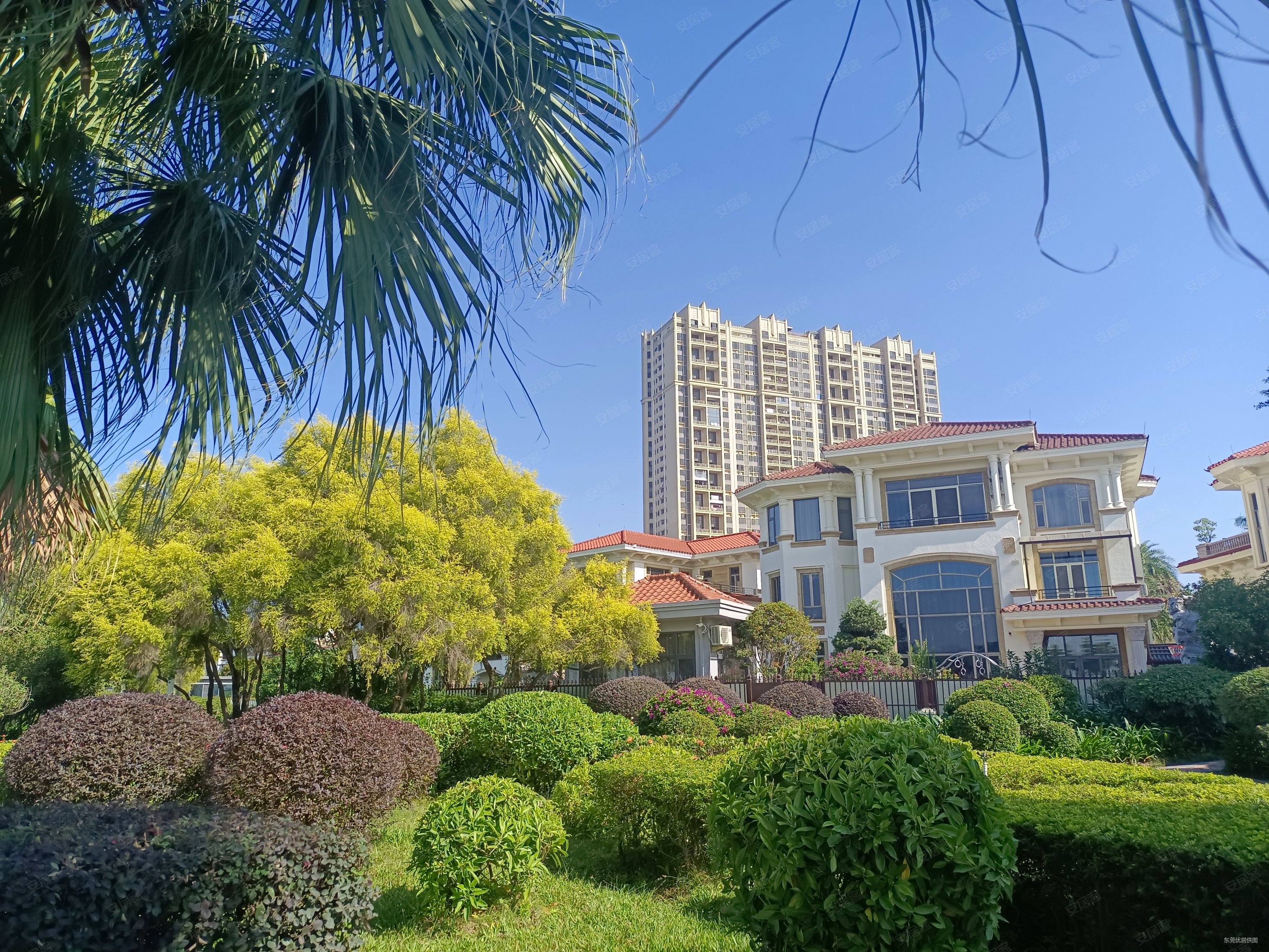 金湾花园别墅