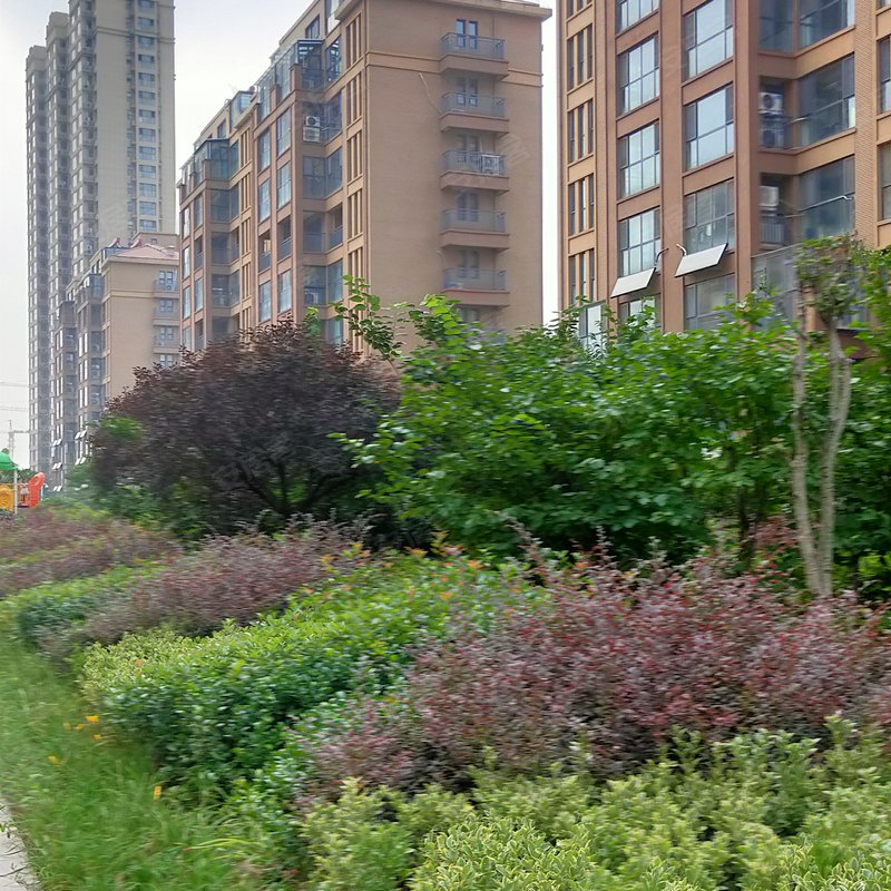 【怡和国际, 怡和国际小区详情,房价走势,房源,业主论坛】- 临沂58