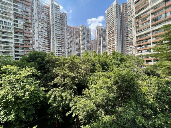 广州海珠工业大道北光大花园三期太古仓 光大花园三期 装修新三房