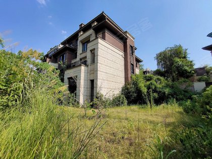 金科廊桥水乡美丽墅别墅