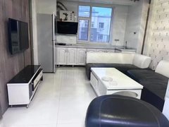辽源龙山龙山城区博纳雅居独立两室精装修,家电齐全,月租1300出租房源真实图片